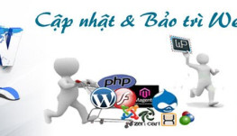 Hướng dẫn quản trị website wordpress cơ bản