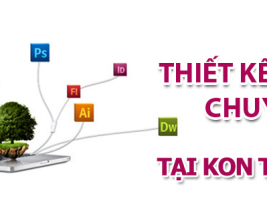 Thiết kế website tại Bình Định