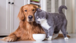 Top 5 địa chỉ mua bán đồ cũ tại Hà Nội cho mọi người khi cần Top 5 địa chỉ mua bán đồ cũ tại Hà Nội cho mọi người khi cần