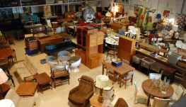 Top 05 cửa hàng thú cưng (pet shop) tại Hà Nội uy tín 2022 Top 05 cửa hàng thú cưng (pet shop) tại Hà Nội uy tín 2022